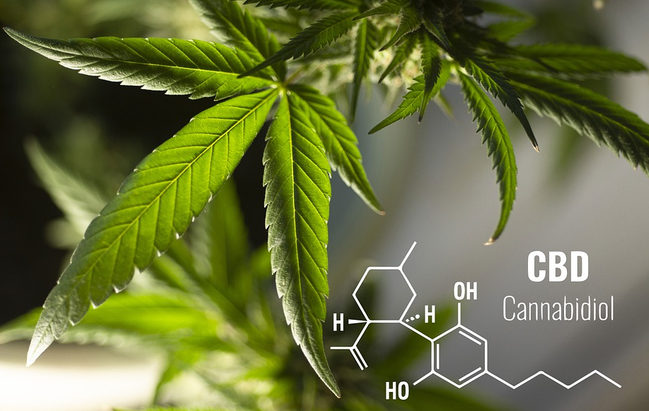 hemp