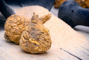 Maca Root
