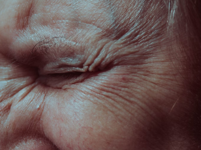 Anti-Aging Properties